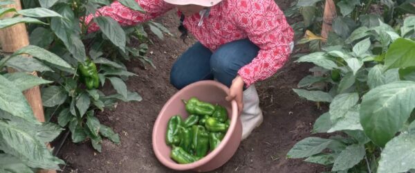 24 productoras salvadoreñas lideran el proceso de desarrollo de su comunidad: un proyecto de ONGD SED financiado por el Ayto. de Oviedo